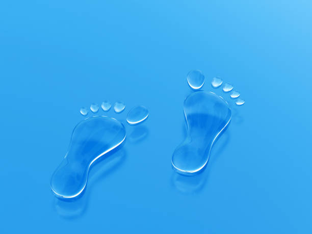 The Role of Digital Footprint in Cybersecurity: What You Need to Know