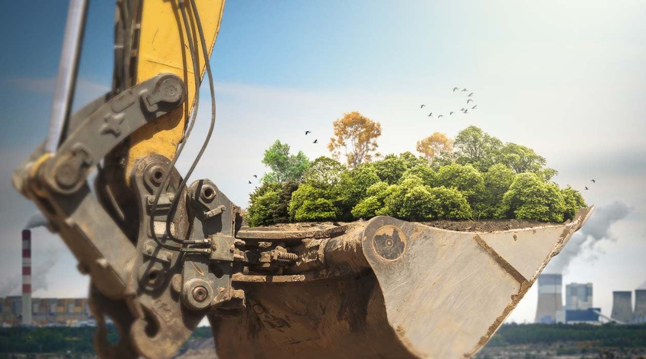 Environmental Impacts