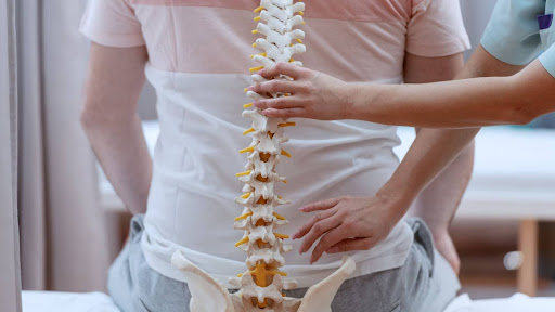 Spinal Support